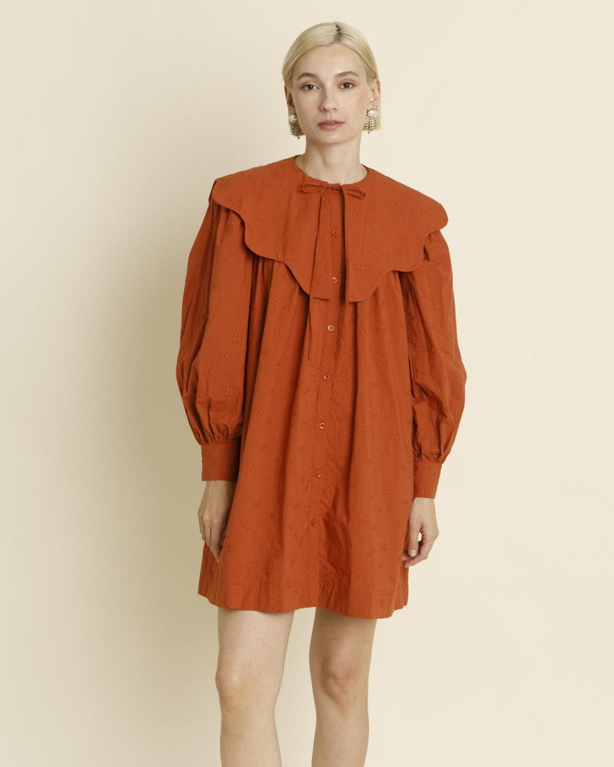 Terracotta Eyelet Scallop Collar Mini Dress