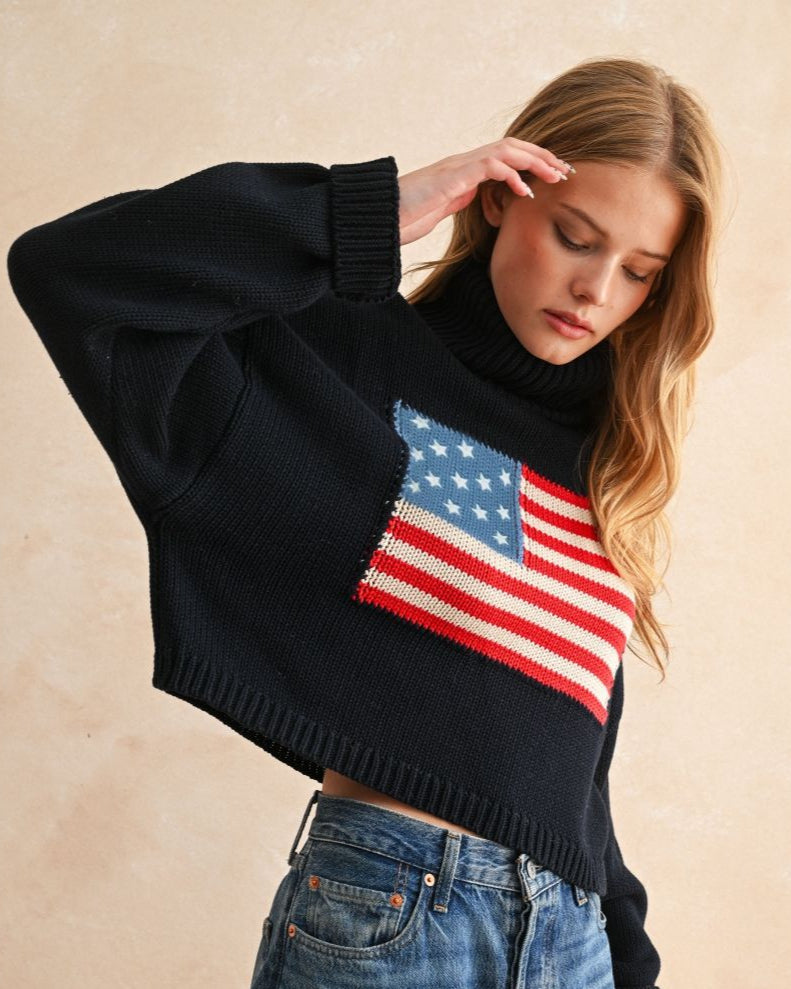 Navy Boxy US Flag Turtle Sweater