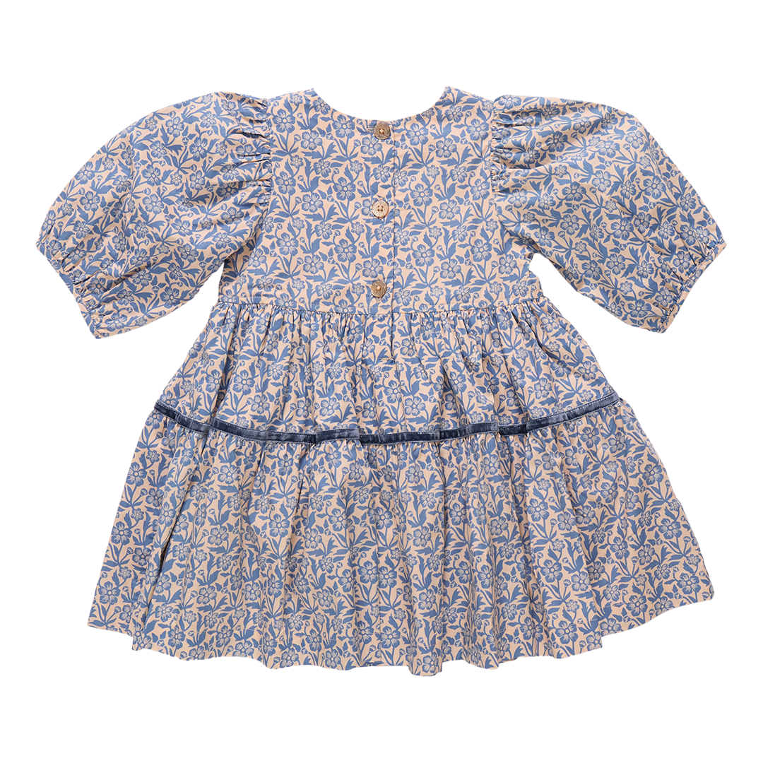 Girl's Pink Chicken Blue Climbing Floral Dress