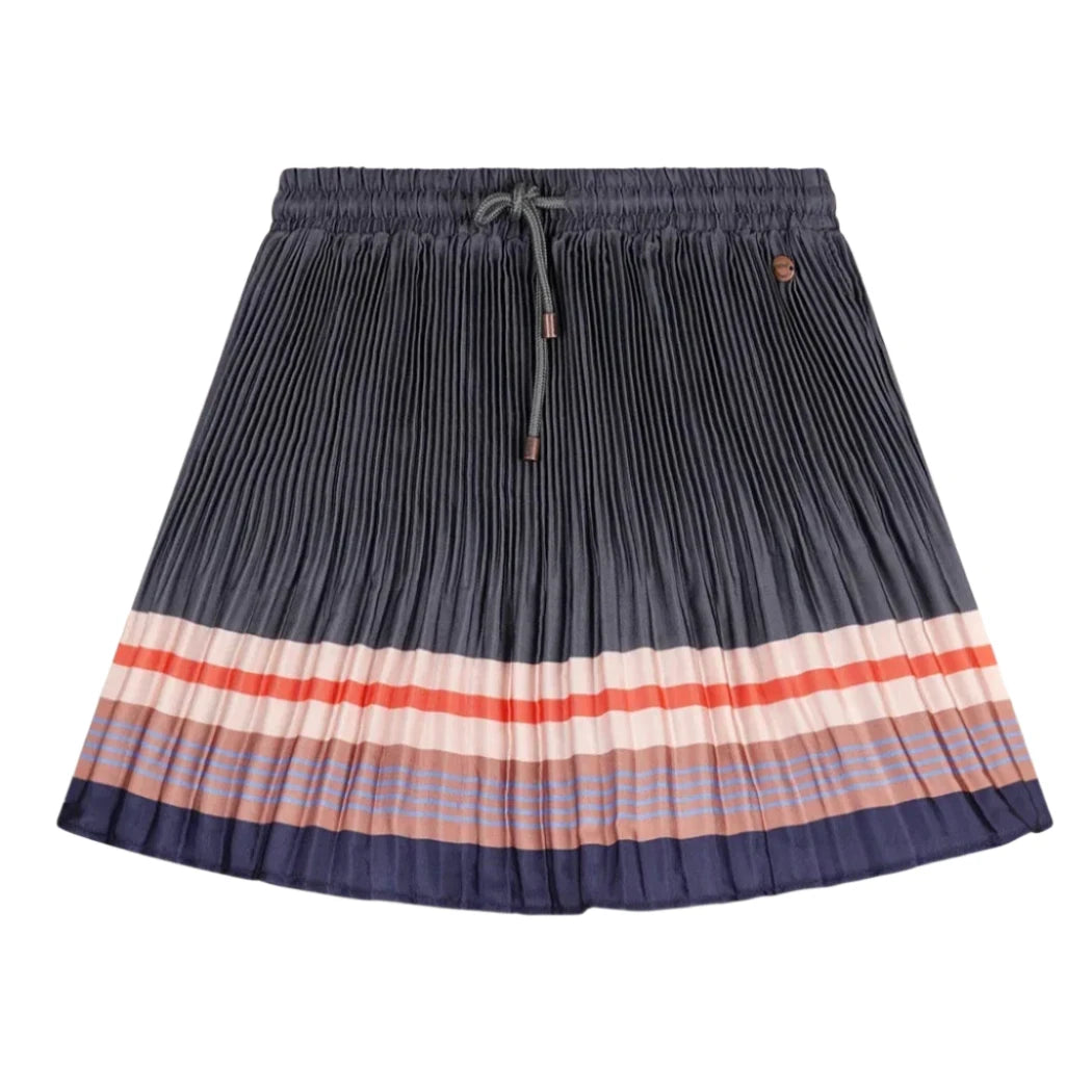 Slate Pleated Skirt Border Stripe